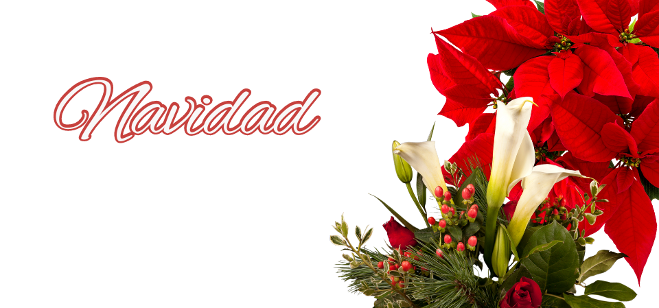 0019 flores-floristeriajazminparets.com-floristería