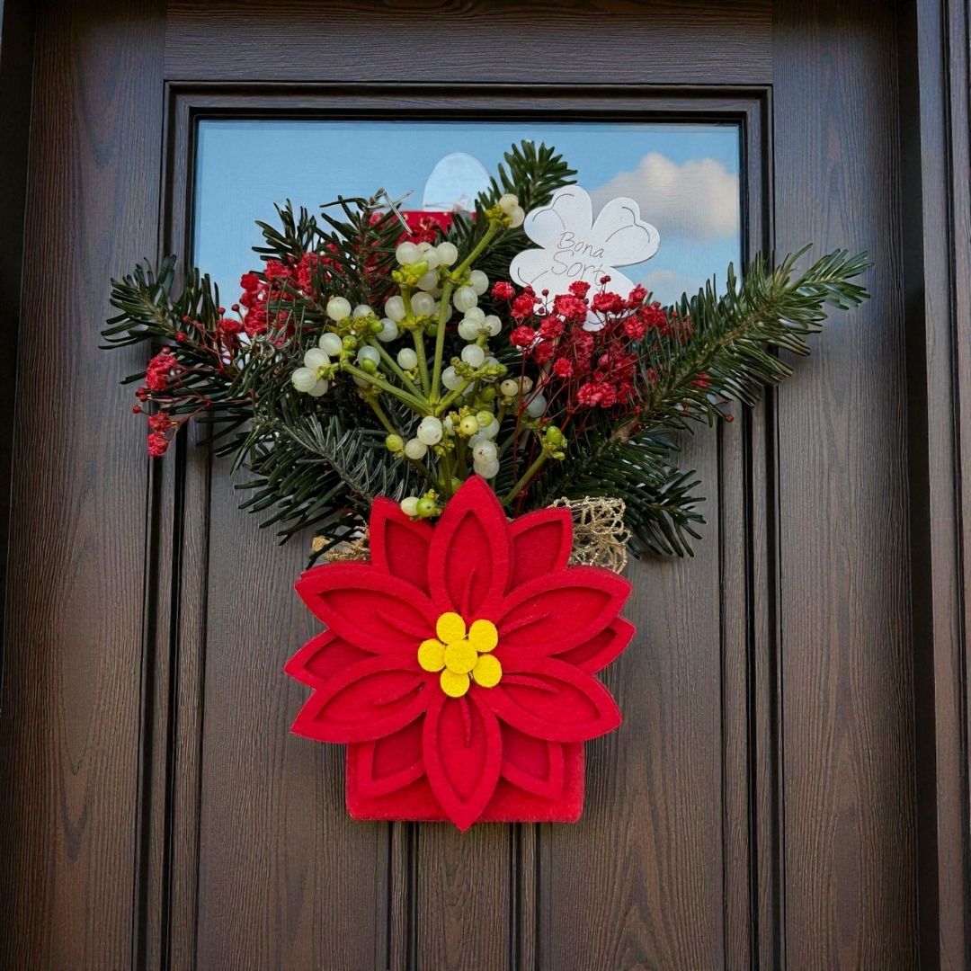 ❤️ Ponsetia de Navidad – “Bona Sort”