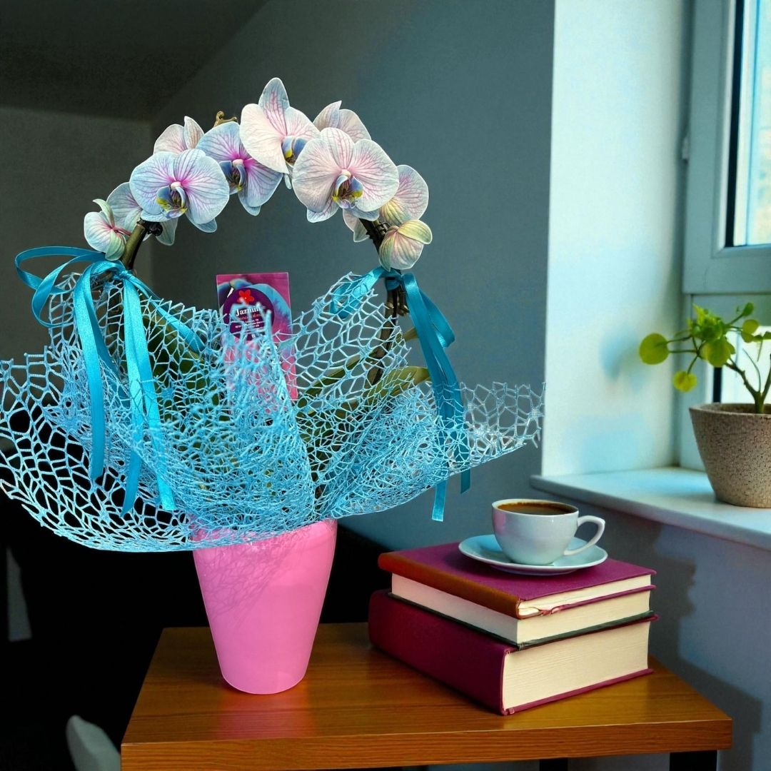 Orquídea Mystic Blue - Imagen 2