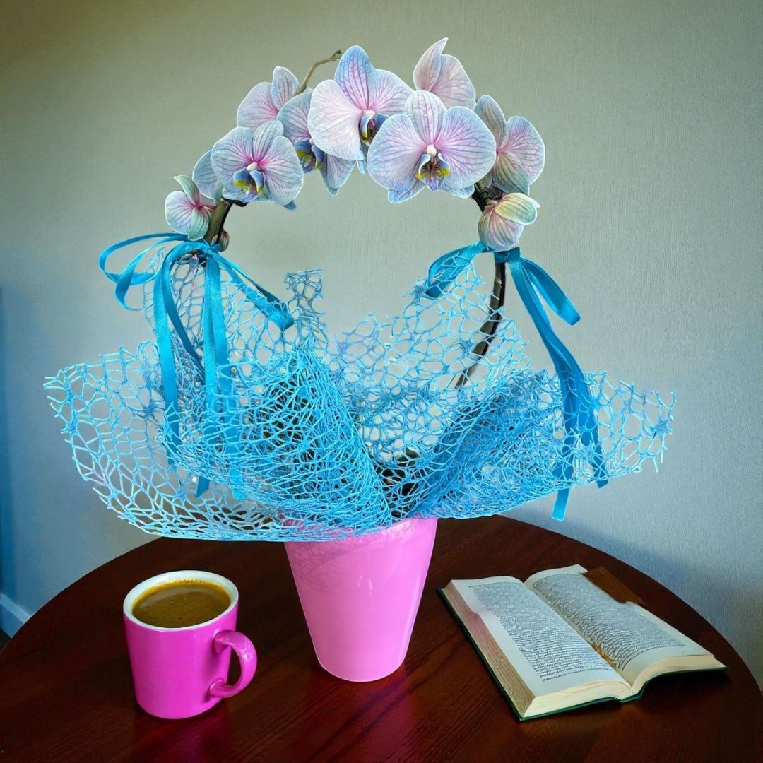 Orquídea Mystic Blue